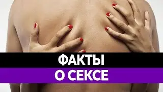 Факты про СЕКС! 🍓