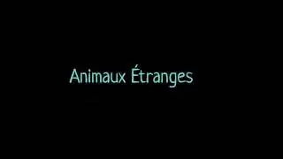 Animaux Étranges - Le Crapausol