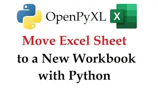 Openpyxl - Move an Excel Sheet to Another Workbook with Python | Data Automation