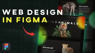 Complete Website Design in Figma: From Start to Finish (Step-by-Step)