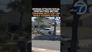 Woman attacks SoCal firefighters before crashing into cop car while fleeing police