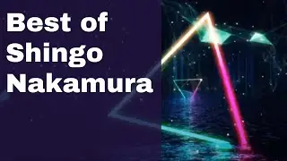 Best of Shingo Nakamura