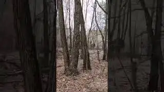 Катаемся по ПРИПЯТИ и строим базу сталкеров в ЧЕРНОБЫЛЕ 