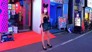 Japan Walk Kabukicho late at night, Bunny red light district, adult alley in Shinjuku, Tokyo｜4K 歌舞伎町