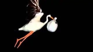 Футажи для видеомонтажа 