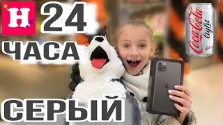 24 ЧАСА ТОЛЬКО ОДИН ЦВЕТ 🔘ТОЛЬКО СЕРЫЙ 🔘 IPHONE 11 PRO MAX - МОЙ