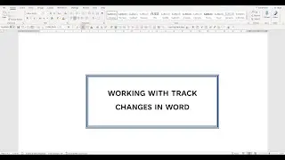 Working with Track changes in Word