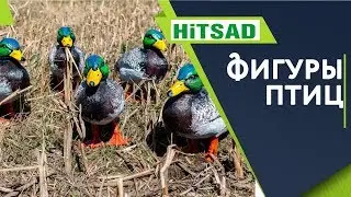 Фигуры Птиц Для Сада и Дачи 🦆 Чем украсить свой дачный участок 🦆