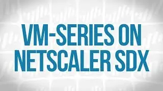 VM-Series on NetScaler SDX