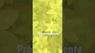 Ella teme a ilusionarse 
