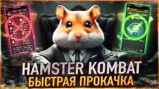 HAMSTER KOMBAT - БЫСТРАЯ ПРОКАЧКА | ЛИСТИНГ НА БИРЖИ | ЭФФЕКТ NOTCOIN