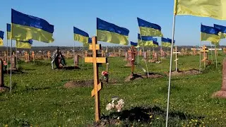 How many Casualties have Ukraine and Russia suffered