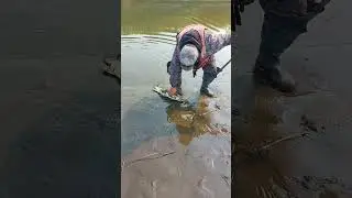ЩУКИ ЯКУТИИ/ТРЁШКА НЕ МЕНЬШЕ/MEPPS РУЛИТ 