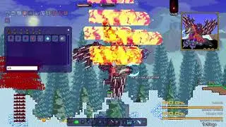 Terraria echdeath vs op weapons and calamity god