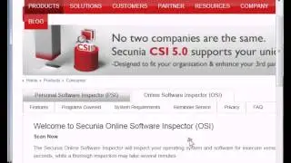 Protect your computer from Hackers with Secunia Scan