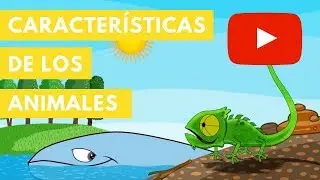 Características de los Animales | Camaleón