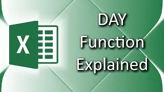 How to use DAY function in Excel 2016