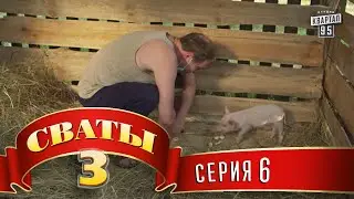 Сваты 3 (3-й сезон, 6-я серия)