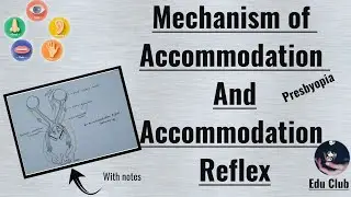 Accommodation Of Eye | Accommodation Reflex | Presbyopia | Special Senses Physiology