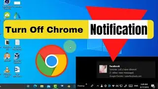 How to turn off website notifications on windows 10 desktop.