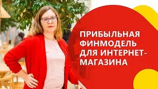 Финансовая модель для интернет-магазина. Как из убытков получить прибыль, пример расчета - кейс.