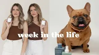 Weekly Vlog | Photoshoots, new products, Taco Bell taste test