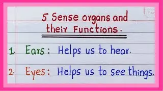 Sense Organs and their Functions | in English | 5 Sense organs and functions  | Sense Organs