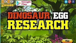 Dinosaur Egg Research