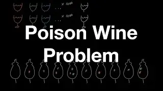 Poison Wine Problem: Understanding Bits