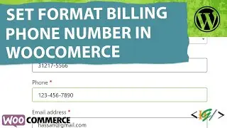 How to Set Format of Billing Phone to Pattern 111-111-1111 in WooCommerce Checkout in WordPress