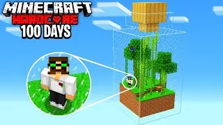 I Survived 100 Days in Hardcore Minecraft In a JAR