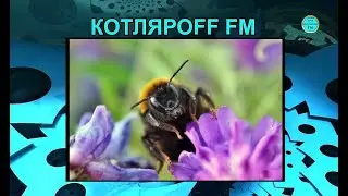 КОТ FM (01. 04. 2023 Новый Эфир Новый мир. Когда всё вверх.