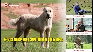 Стрим #25 / В УСЛОВИЯХ СУРОВОГО ОТБОРА