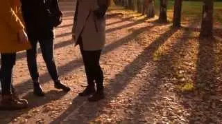 РЕЗНАЯ ЛАВОЧКА  , ВЕНОК ИЗ ЛИСТЬЕВ , ТРИ МАТРЁШКИ Футаж