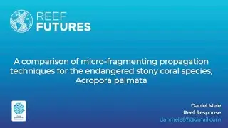 A comparison of micro-fragmenting propagation techniques for the endangered stony coral species