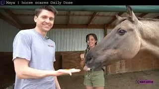 Best Twitch Fails Compilation 
