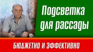 Подсветка для рассады. Бюджетно и эффективно.