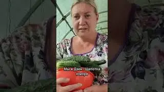 💥Полностью весь ролик в Дзене на канале Щепотка юмора💥