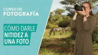 CURSO BÁSICO DE FOTOGRAFÍA: Cómo darle nitidez a una foto