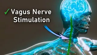 Strengthen Nervous System: Vagus Nerve Activating Frequency • 30Hz Binaural Beats