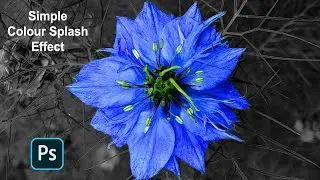 How a make a Simple Colour Splash Effect in Photoshop