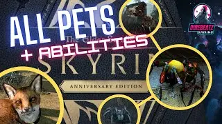 Skyrim AE | How To Get All 10 Teleport Pets & Pet Abilities Explained