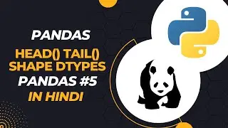 Use Pandas Head And Tail Methods | Use Pandas Shape And Dtypes Attribute | Pandas 5 | DevSetGo