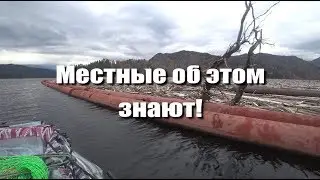 Сейчас я вам кое-что покажу...