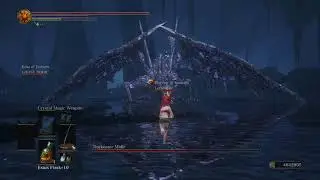 Good Midir Coop