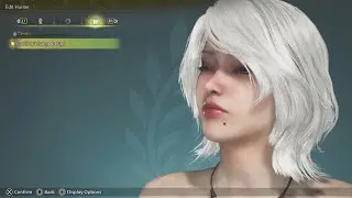 Monster Hunter Wilds 2B Nier Character Creation