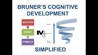 Bruner's Theory of Cognitive Development - Simplest Explanation Ever