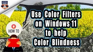 How to Enable and Use Color Filters on Windows 11 built-in color filters to help color blindness