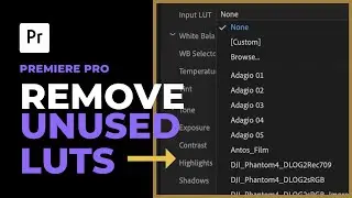 Remove Unused Default LUTS in Premiere Pro!