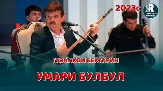 Умари Булбул Газал 3 2023с Umari Bul-Bul 2023с